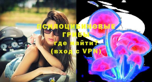 бутират Алзамай