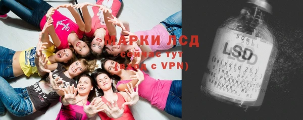 трава Арсеньев